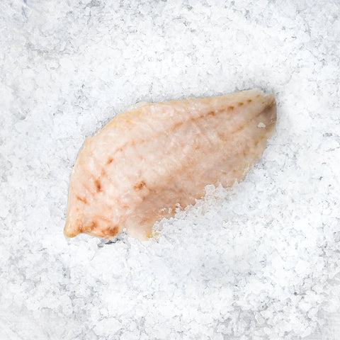 Rockfish