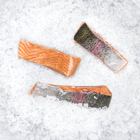 Steelhead